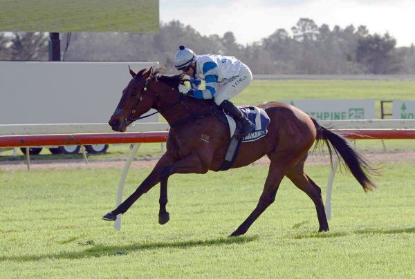 Logan back in black-type frame with Yokozuna