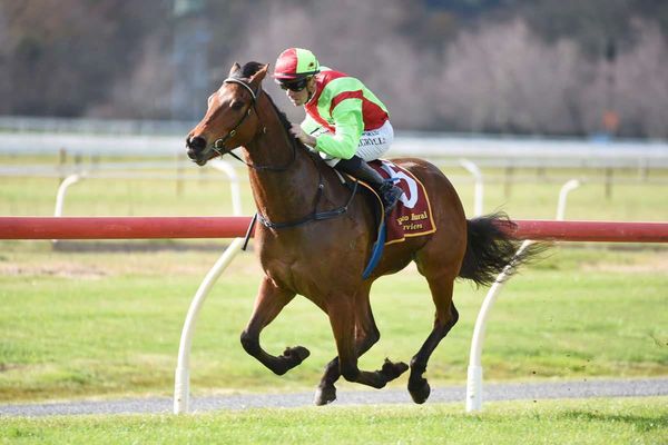 Family success rolling into new season for Bell