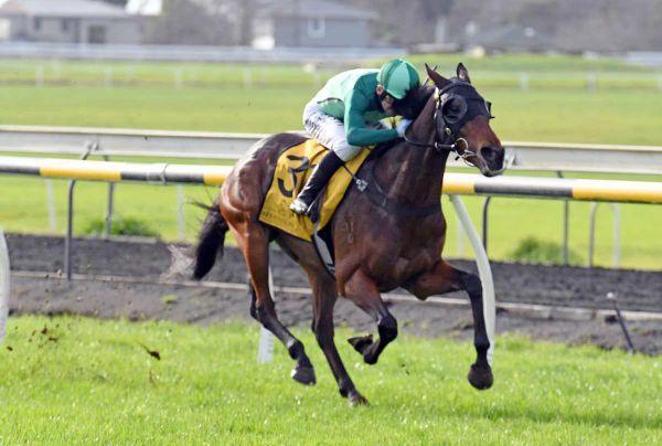 Promising winter galloper primed for Interprovincial