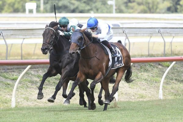 Life’s a beach for Cambridge trio