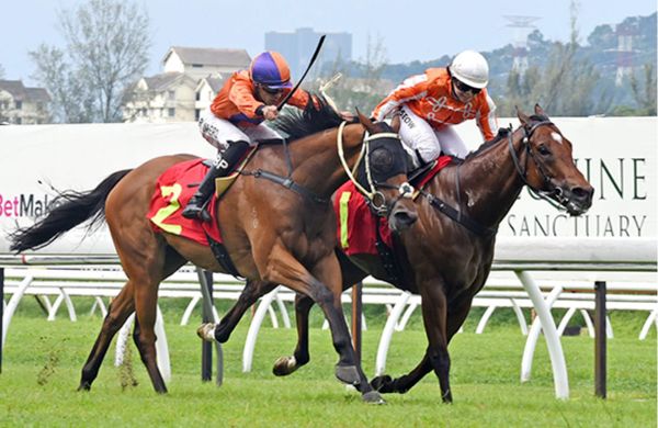 Antipodean back with a bang for Dunderdale