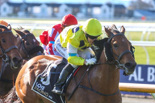 Matamata imports shine at Riccarton