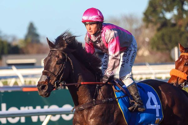 Rangiotu gelding chasing further stakes success