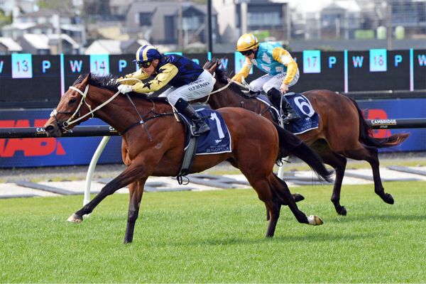 Churmatt impressive at Ellerslie