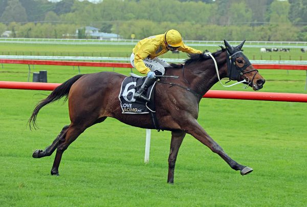 Danjuro puts Didham partnership on the board