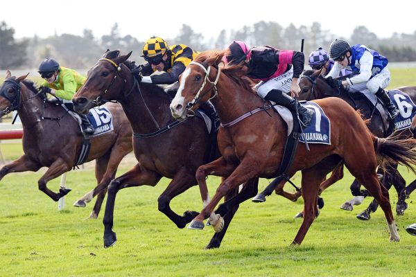 Daring Dame breaks through for elusive win