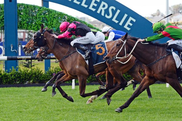 Diamond Jak delivers Ellerslie first
