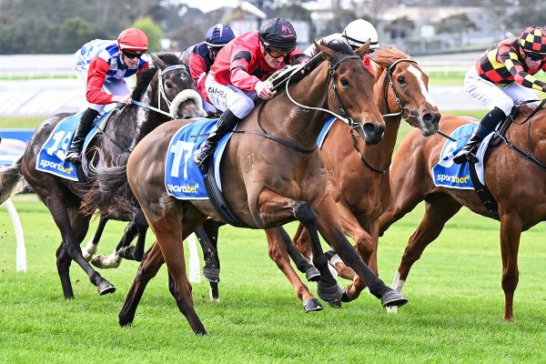 Engine of War strikes at Sandown