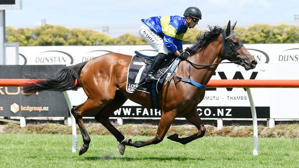 Right-handed test for high-class mare at Ellerslie