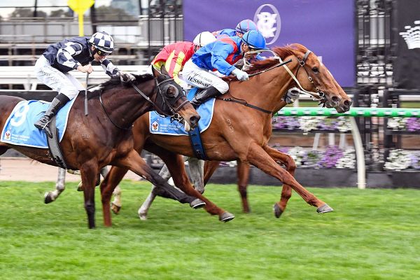 Golden Path flies home in Flemington finale