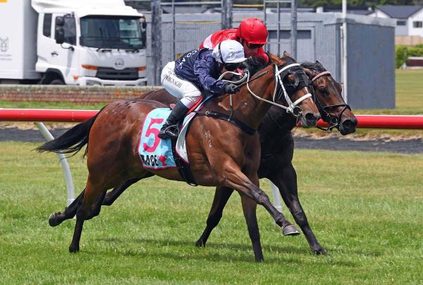 D-Day at Riccarton for talented filly