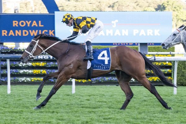 Joliestar makes Everest statement
