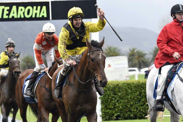 Gillies brings up century of riding wins