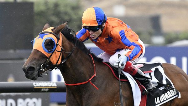 Te Akau filly with point to prove at The Valley