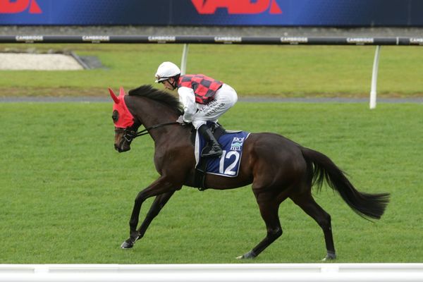 La Crique breaks record with seventh Group One second