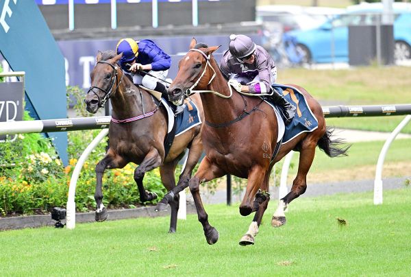 Quality sprinter thriving ahead of upcoming prep