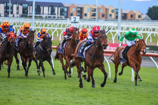 A star is born in Canterbury Belle Stakes