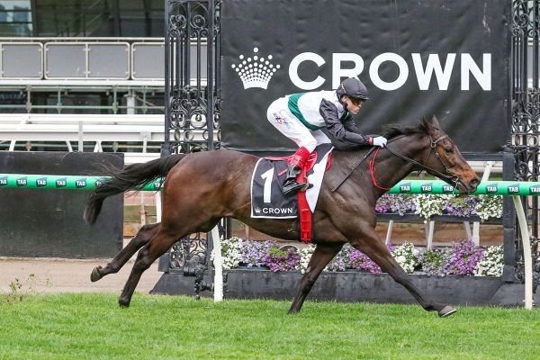 Mr Brightside makes history in Makybe Diva