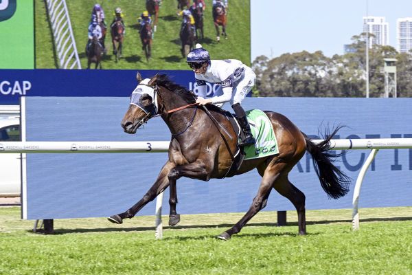 All-the-way Rosehill win for Kiwi import