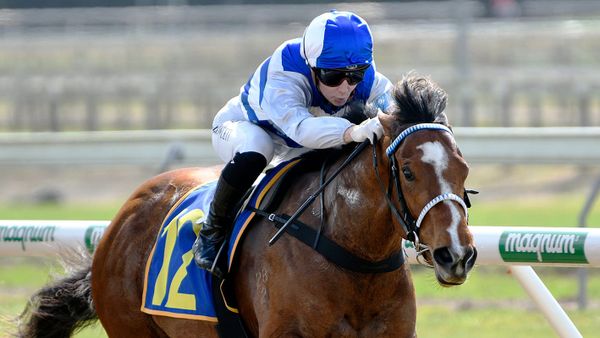 Well-bred filly scores on debut