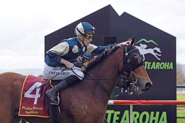 Pier to launch Australian spring preparation