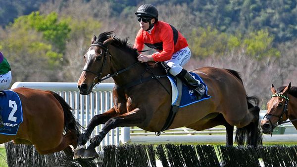 Taika extends Nelson/McDougal dominance of hurdle feature