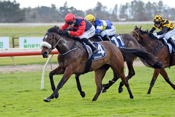 Transcend delivers for TAB Racing Club