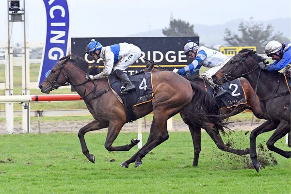 Tajana ready to further press Classic claims