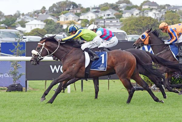 Tardelli on quest for Group One honours