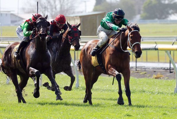 Tobias heads Dravitzki double at New Plymouth