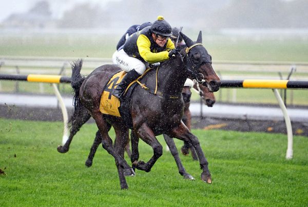 Tulsa King provides an upset in Taranaki opener