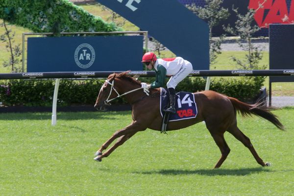 Well Written bursts into Guineas contention