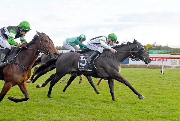 Agera ideally suited to Matamata Cup trip