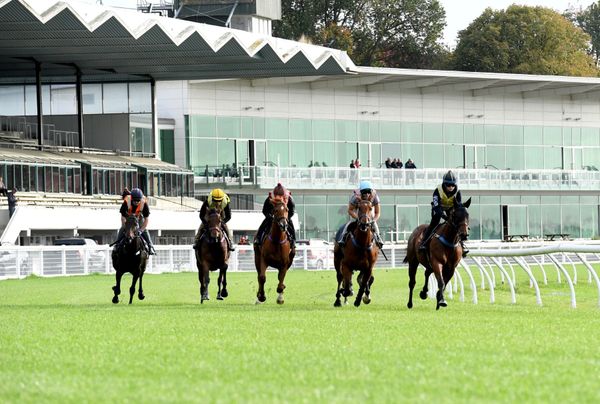 Racing at RACE Awapuni Paused
