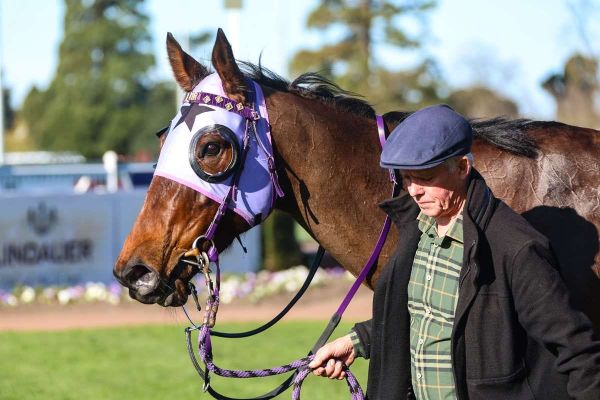 Barneswood filly to make debut