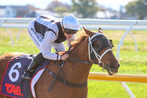 NZ Cup Week beckoning Buoyant