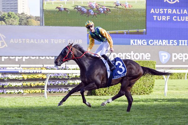 Ceolwulf defends King Charles crown