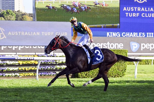 Champions Mile for Ceolwulf