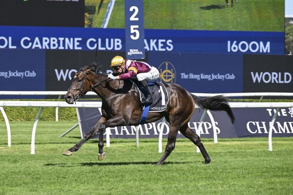 Hayes team eye dual-state riches