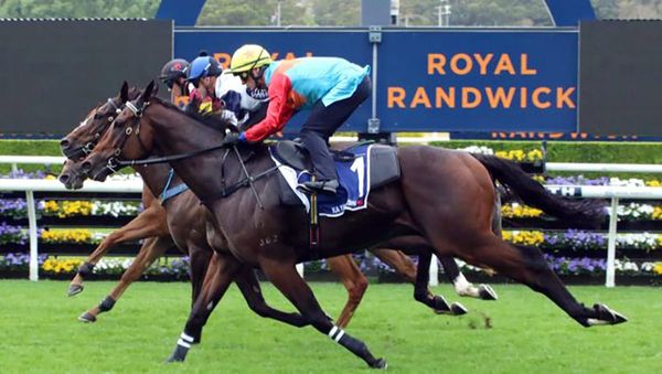 Ka Ying Rising ready to rumble