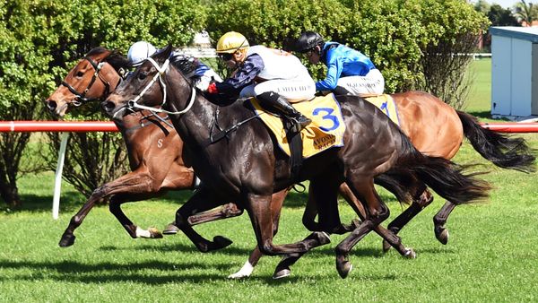 Kygo Star shines late in competitive 3YO contest