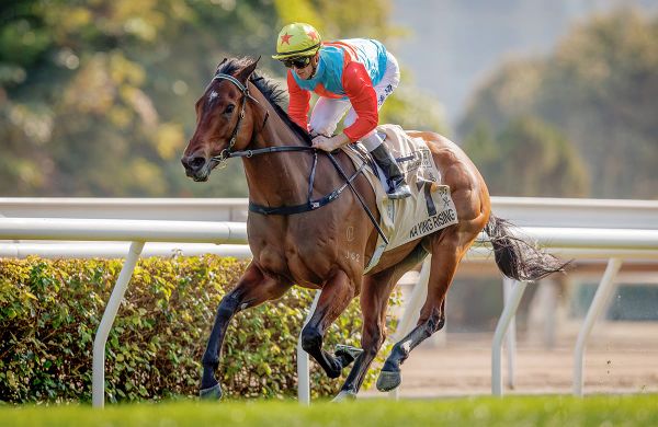 McDonald excited to renew rivalry with Ka Ying Rising