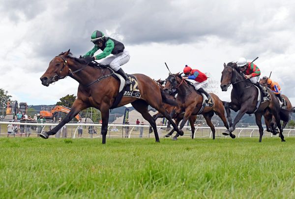 Another hefty task for top CD mare