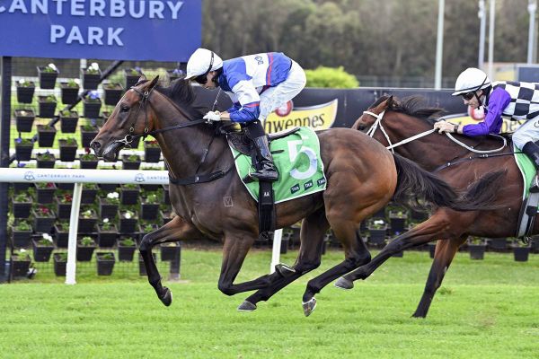 Go Racing aiming to start November with a bang