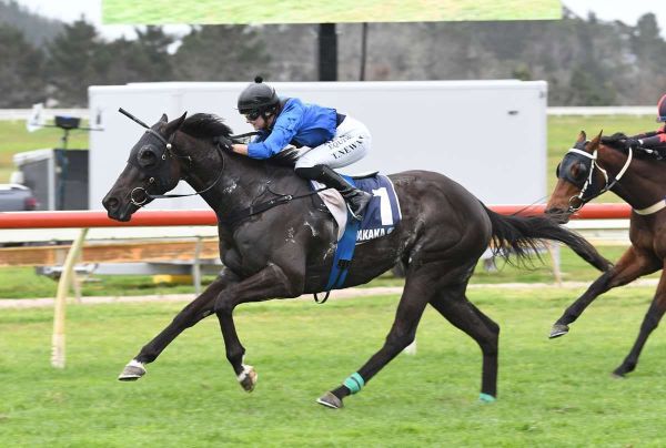 Chicflix seeking elusive win