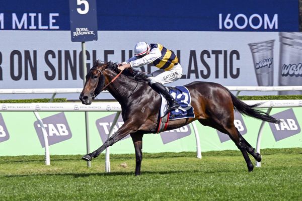 Perfumist back on top with Randwick blitz
