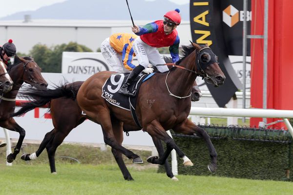 No Melbourne Cup for Sharp ‘N’ Smart