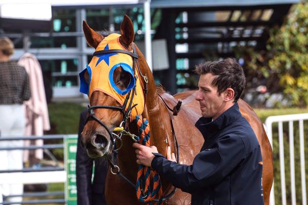 Te Akau’s Guineas contenders in holiday weekend spotlight