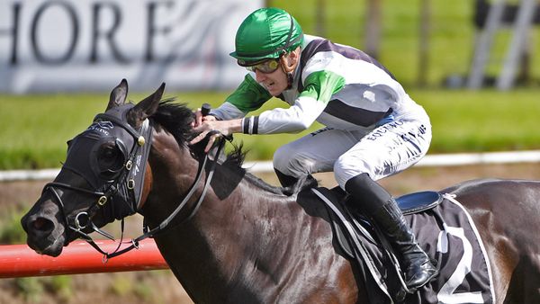 Agera’s astonishing rise continues in Tauranga Stakes