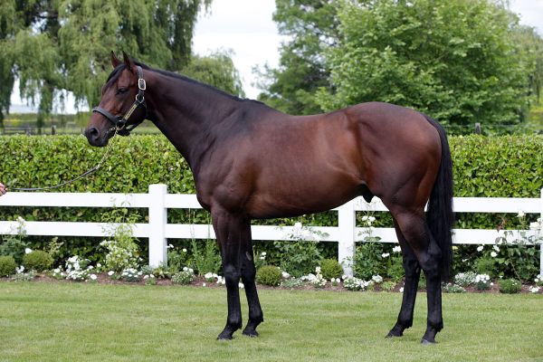 Breeders’ Cup glory for Almanzor filly
